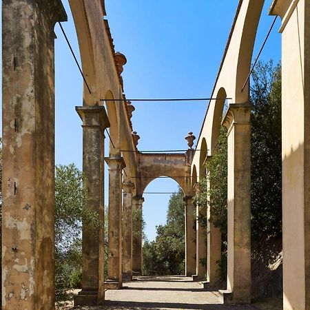 Bagni Di Pisa Palace & Thermal Spa - The Leading Hotels Of The World Сан-Джулиано-Терме Экстерьер фото The colonnade