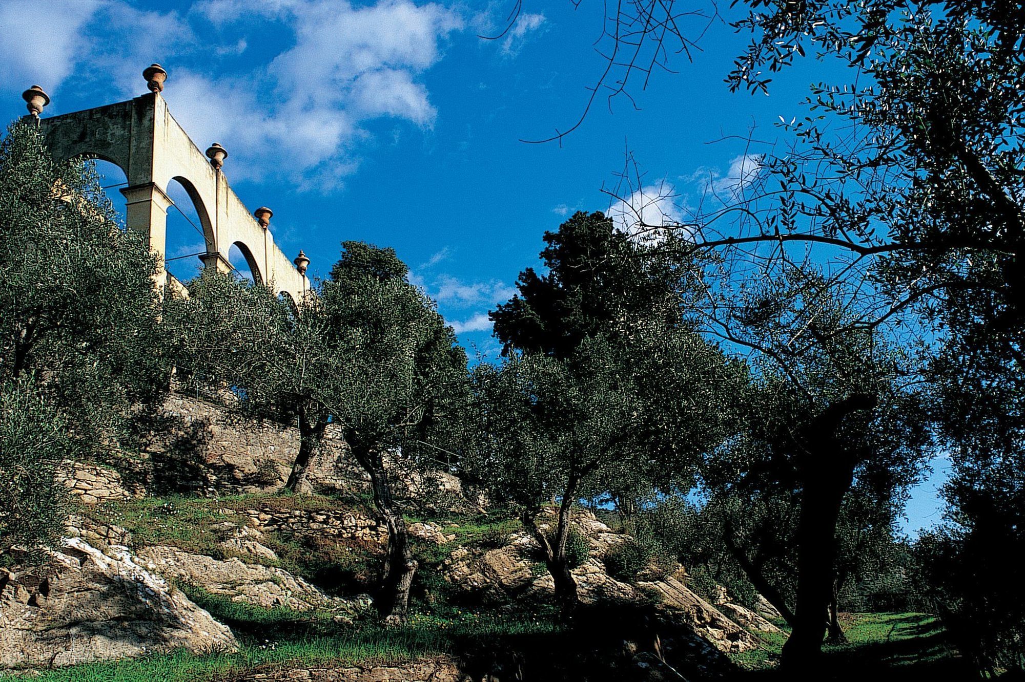 Bagni Di Pisa Palace & Thermal Spa - The Leading Hotels Of The World Сан-Джулиано-Терме Удобства фото Olive trees in the hills of Andalusia