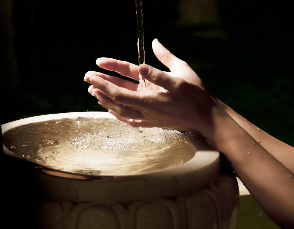 Bagni Di Pisa Palace & Thermal Spa - The Leading Hotels Of The World Сан-Джулиано-Терме Экстерьер фото Hand washing
